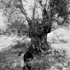 jbud20180731_lesbos_18lrs_1